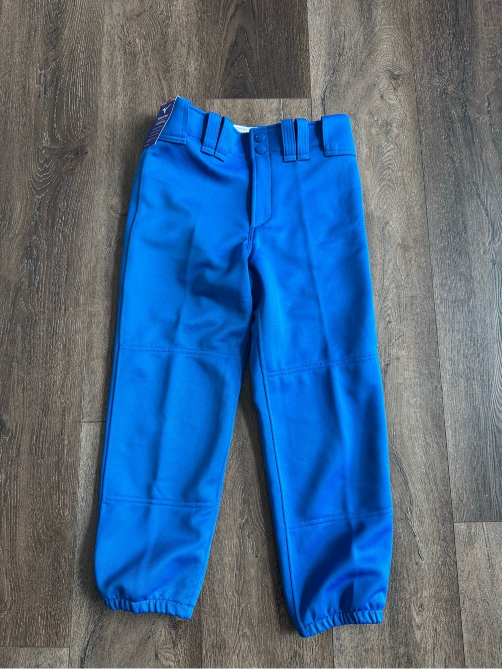 Mizuno Women's Softball Pants in Royal Blue Size XS